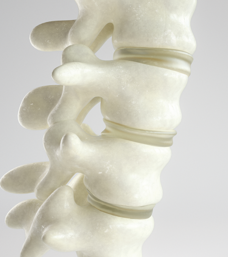 A close-up image of a spine.