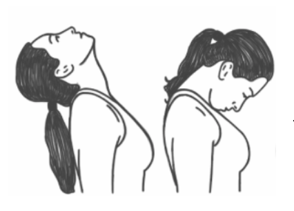 A pencil sketch of a woman performing neck exercises.